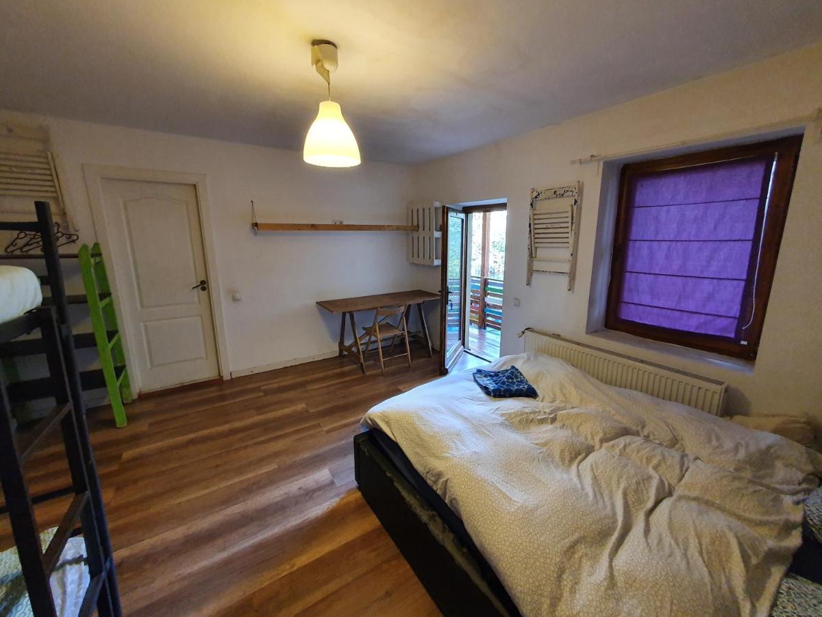 Zen Hostel Cluj-Napoca Eksteriør billede