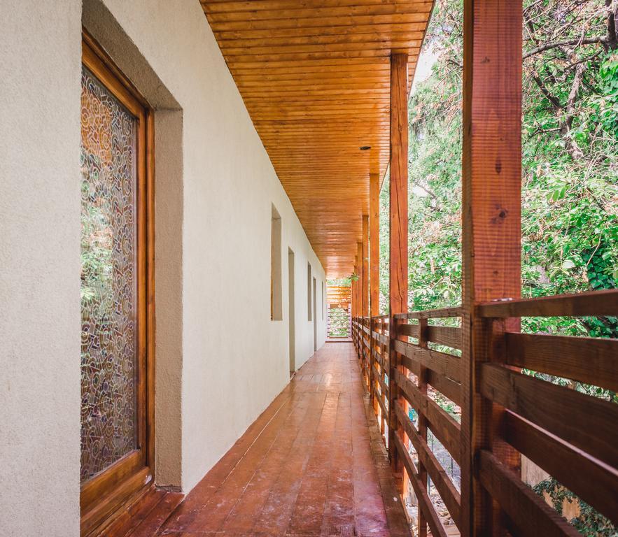 Zen Hostel Cluj-Napoca Eksteriør billede
